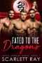 [Fated Dragon Mates 01] • Fated to the Dragons